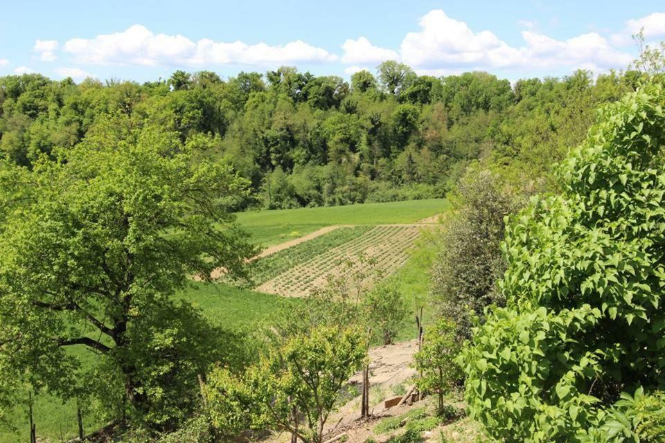 Agriturismo Stazione Di Monta Vila Vicchio Exterior foto